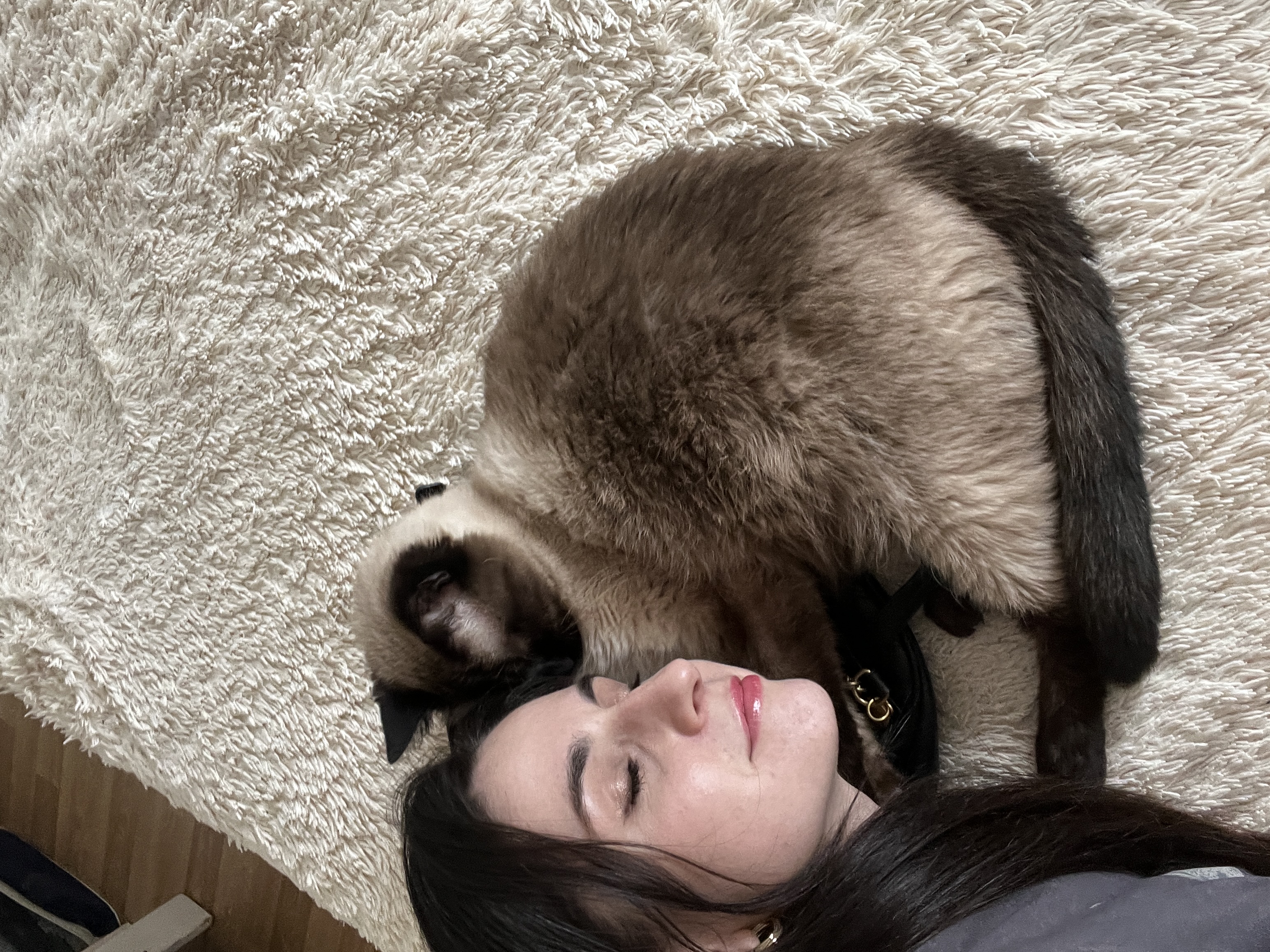 Anna with her Siamese cat curled up on a fluffy cream rug